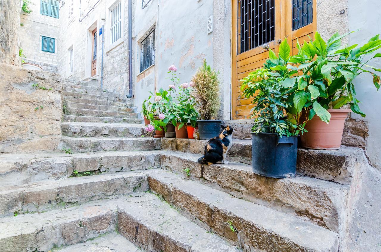 Ivona Apartman Dubrovnik